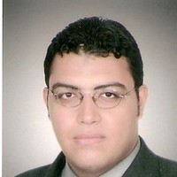 Walaa El Din Ahmed