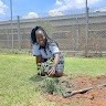 Thando Jafta