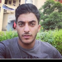 Shady Shahin