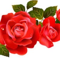 Mumtaz Ashraf