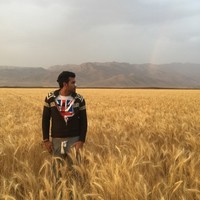 Mostafa Yari