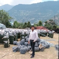 Avinash Sharma