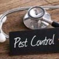 Ananda K N New Indin Pest Control