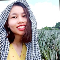 Hồng Vũ