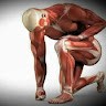 الرشاقة البدنية motivation