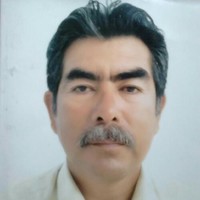 Felipe Vicencio Perez