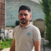 Mohammad Hamid
