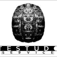 Testudo Service