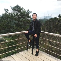 Hong Vu