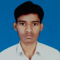 Salmon Raju