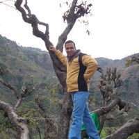 Neeraj kumar Dabas