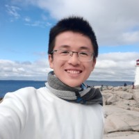 Duy Nhan Vo