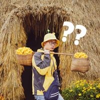Bảo Ninh