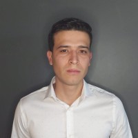 Jesus Manuel Avila Maldonado