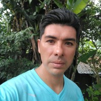 David Castillo Fuentes