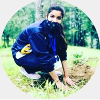 Arti Arya