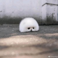 赵丽欣