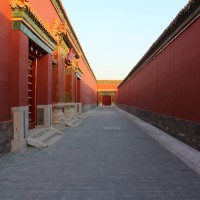 Dr. Anne-Solenn Le Hô