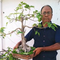 Dipak Sen