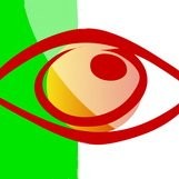 Optica Pinatar