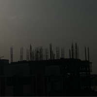 Nirav S.