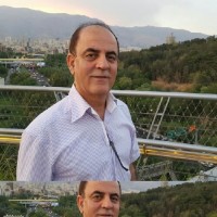 Al Sayed Hashim Al Hashimi