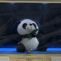 杨志颖
