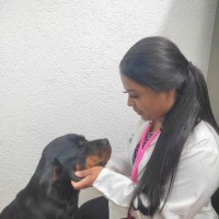Lais Mayara Melo De Souza