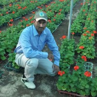 Azhar Mehmood