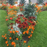 Shakia Gharwal