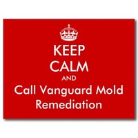 Vanguard Mold Remediation Inc.