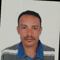 Abdelghany Abdelmoghany