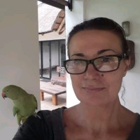michelle webb