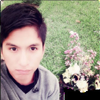 Brayan Llamacponcca Romero