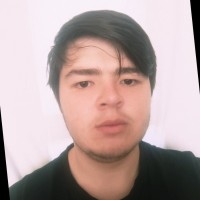 Suciu Daniel