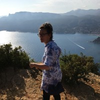 Véronique Le Hen