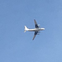 吾斌武