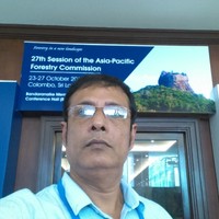 Tarique Hassan
