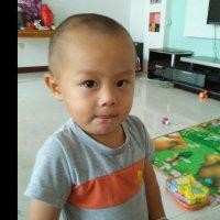 赵树龙