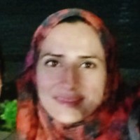 hala nashar