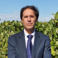 Javier Arribas Pérez