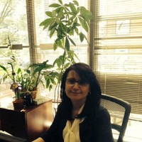Dina Bashir