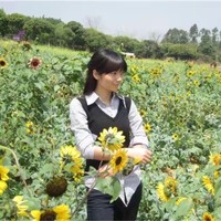 陈思怡