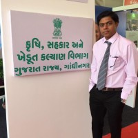 Snehalkumar Patel