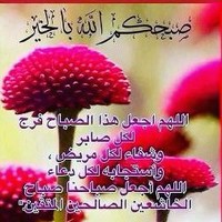 محمد الشرقاوي