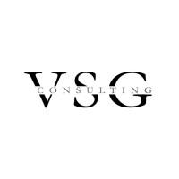 VSG Consulting srl Società di Consulenza
