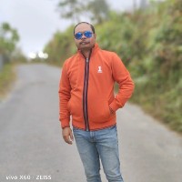 Ratul Roy