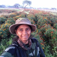 Kiran Thumma