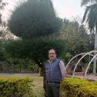 Vikash Tripathi