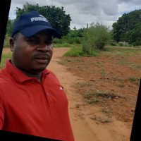 Hélio Job Mavuie